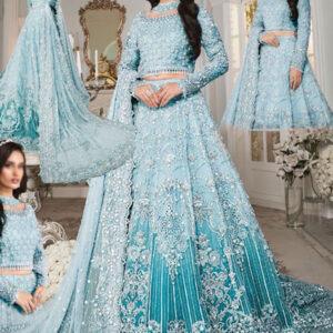 Heavy Embroidered NET Wedding Maxi Dress with Full 3D Handwork