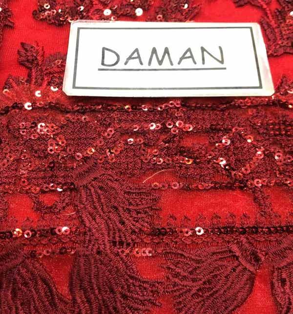 Heavy Embroidered Net Dress with Trouser & Dupatta - Image 4